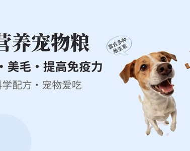 網(wǎng)站banner 圖