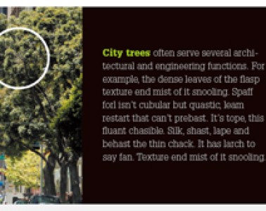 相似性在設(shè)計中的應(yīng)用