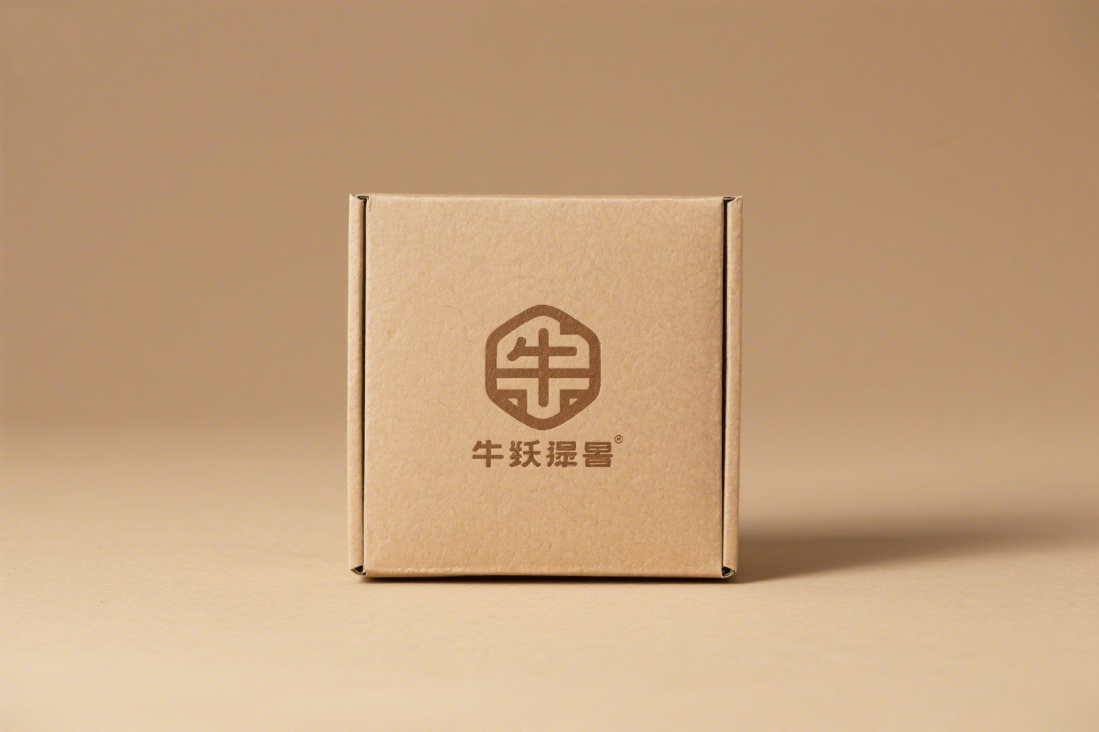 企業(yè)宣傳冊設計如何設計構思好？