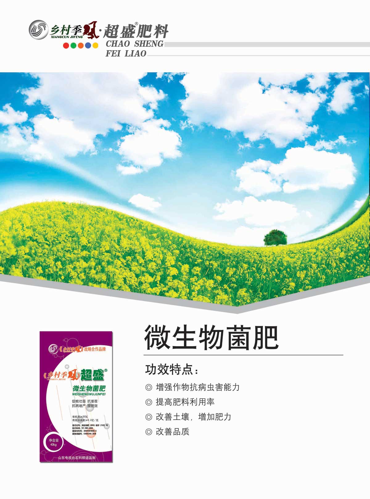 宣傳頁設(shè)計(jì)