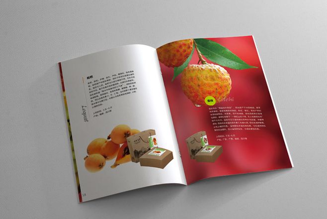 宣傳冊設計一般一頁多少錢？宣傳冊的特點有哪些？