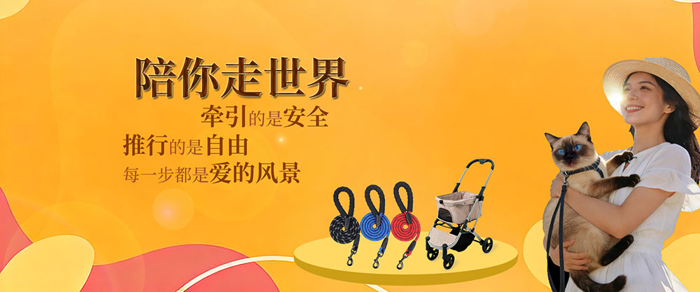 網(wǎng)站banner 圖